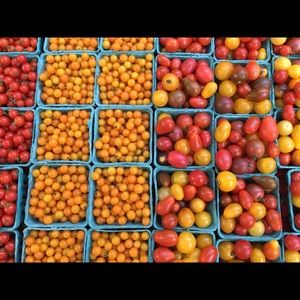 Meet your Posher, Shannon